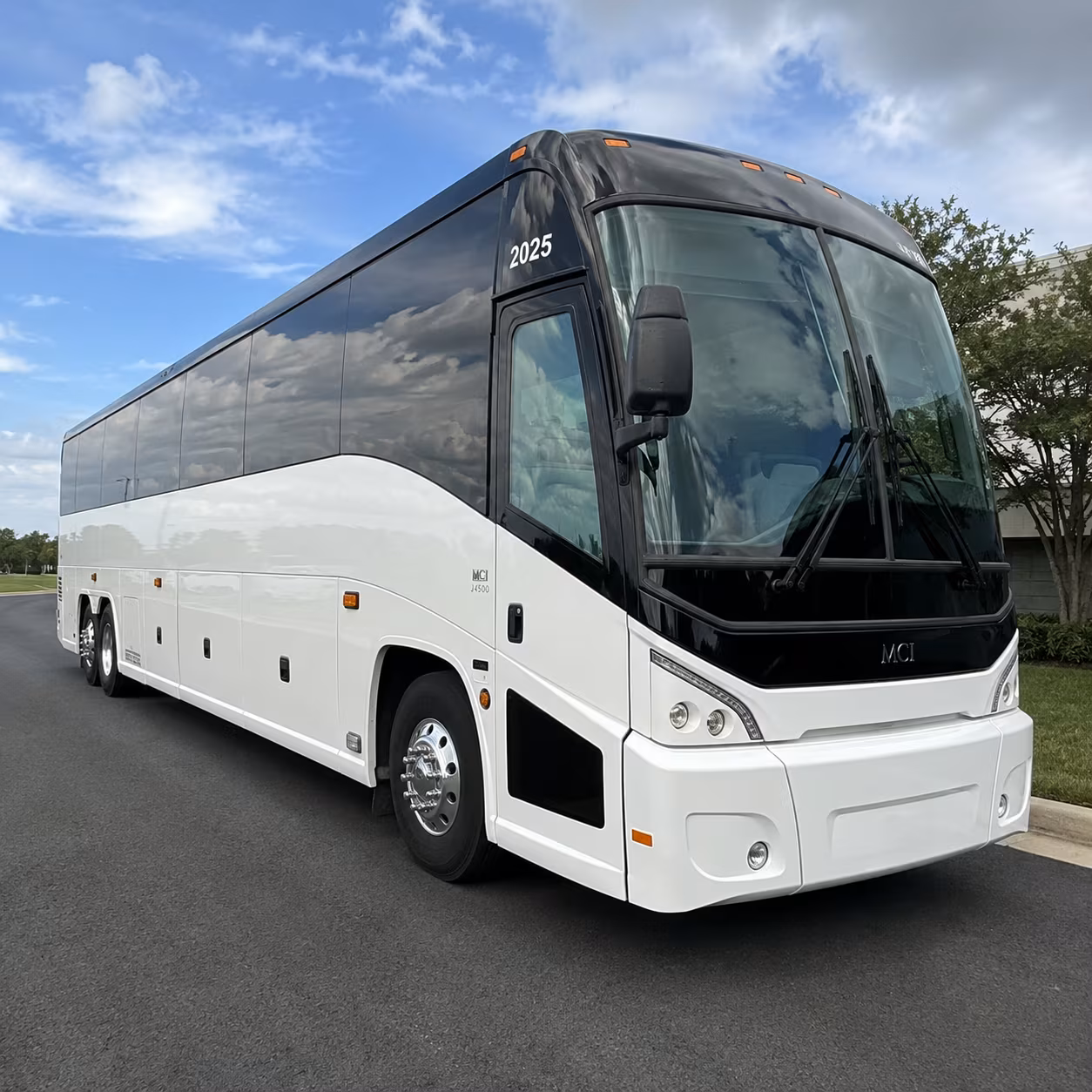 charter buses for saint louis zoo field trips from o fallon